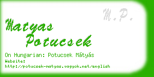 matyas potucsek business card